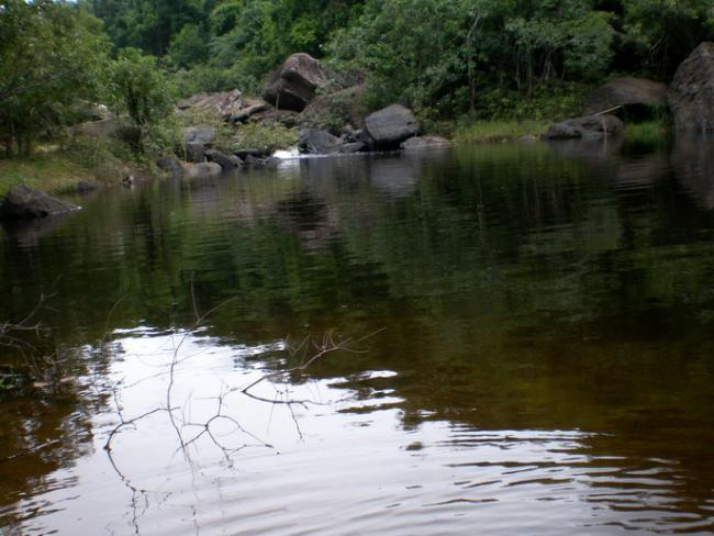 SANY7067.jpg